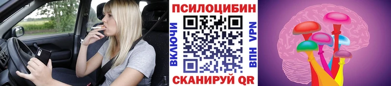 Псилоцибиновые грибы Psilocybine cubensis  блэк спрут вход  Курган 